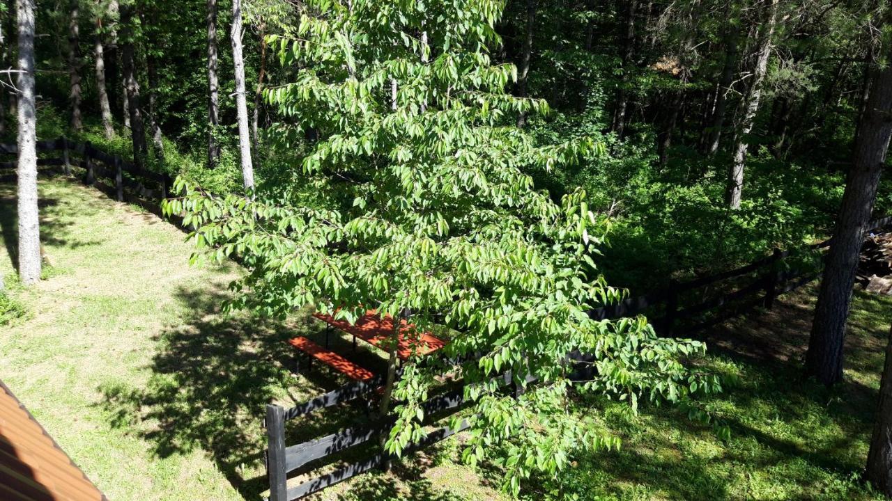 Rudanovac Plitvice Lakes Holiday Lodge מראה חיצוני תמונה