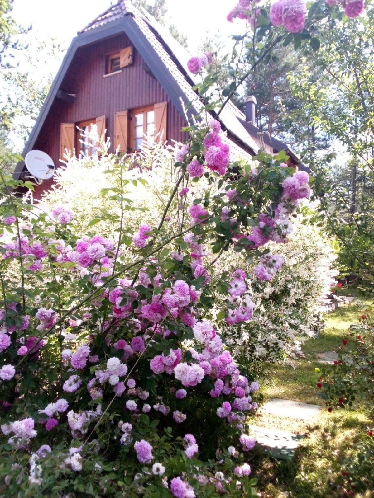 Rudanovac Plitvice Lakes Holiday Lodge מראה חיצוני תמונה